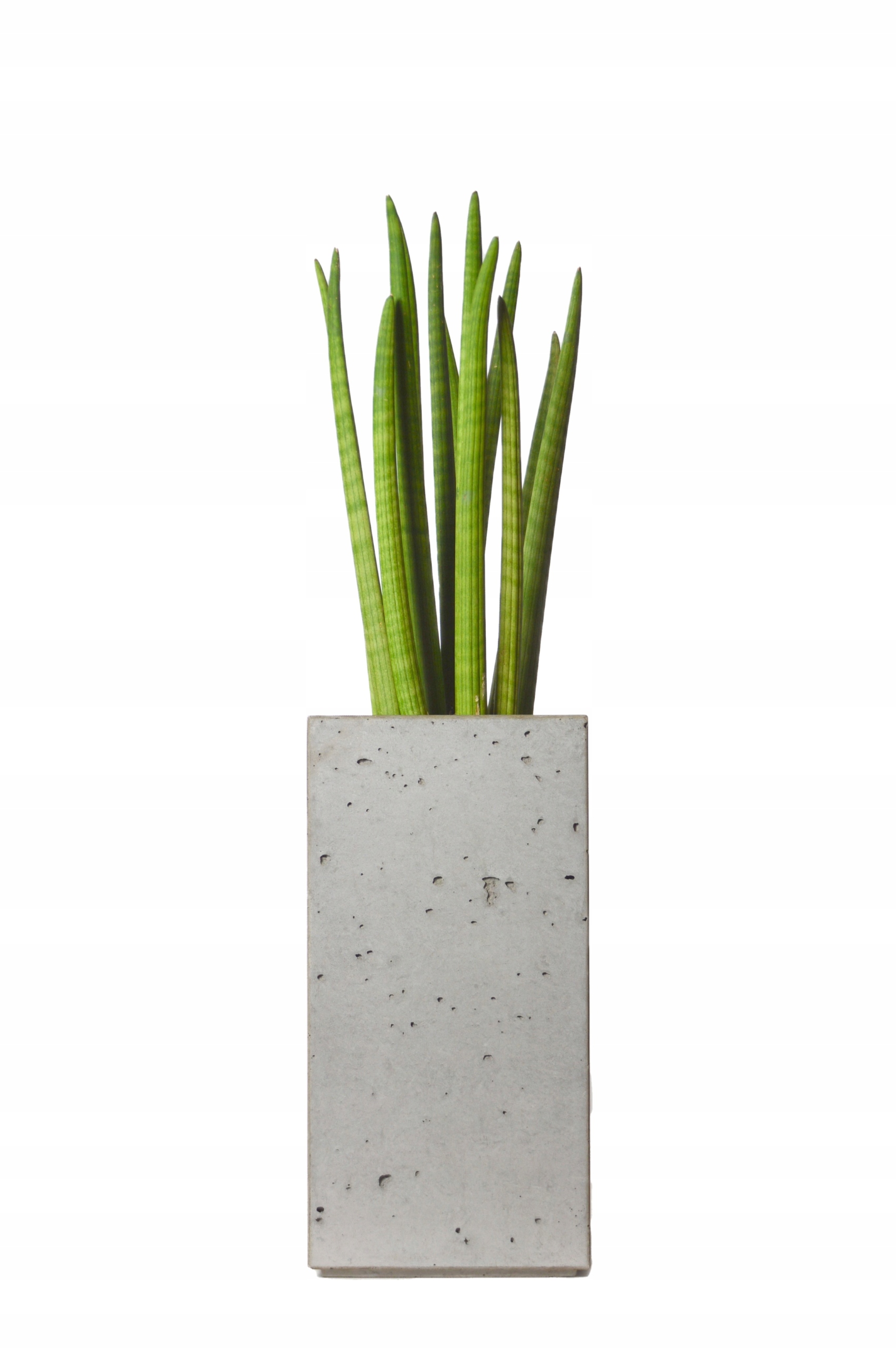 Obal 50 x 25 cm, betónovo sivý